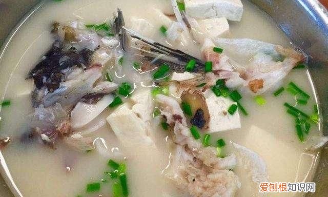 鱼头豆腐汤怎么做最好吃 ，鱼头豆腐汤怎么做又浓又白又不腥？