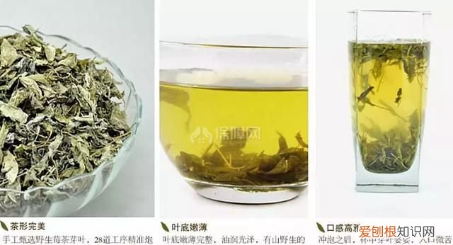 莓茶是什么茶有什么作用