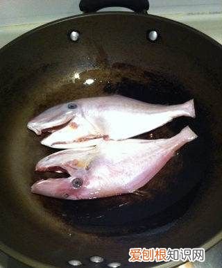 烧剥皮鱼的做法，扒皮鱼的做法大全家常做法