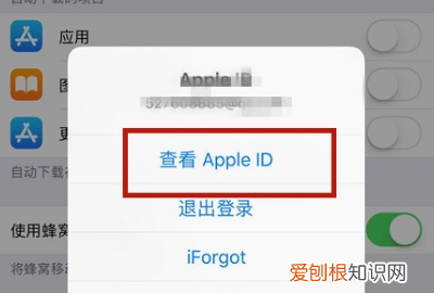 苹果手机appstop怎么设置中文