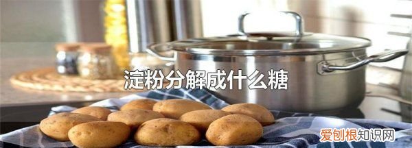 淀粉分解成什么，淀粉分解的三个阶段人体