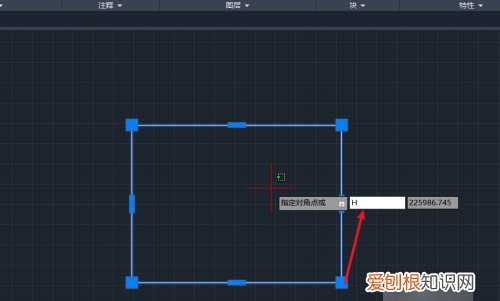 cad中怎么填充图案