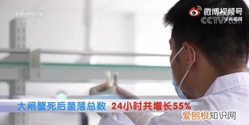 死蟹到底能不能吃别吃错了,蟹死后多长时间就不能吃了