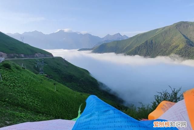 巴朗山云海花海,巴朗山哪里露营看日出