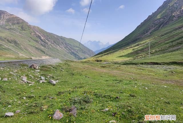 巴朗山云海花海,巴朗山哪里露营看日出
