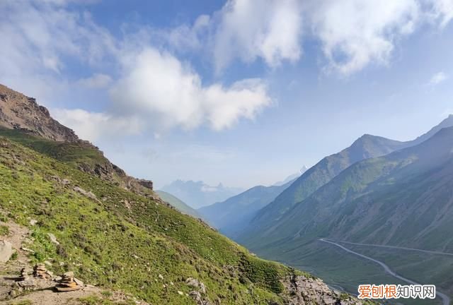 巴朗山云海花海,巴朗山哪里露营看日出