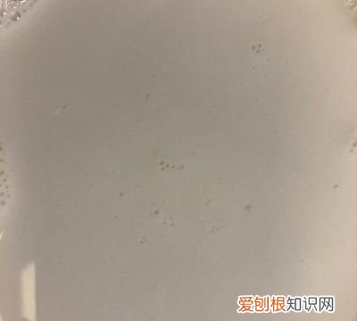 双皮奶教程100%成功 2分钟学会懒人双皮奶