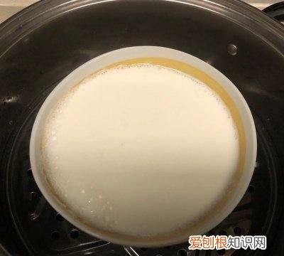 双皮奶教程100%成功 2分钟学会懒人双皮奶