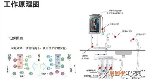 电解水的原理，电解水除菌是什么原理