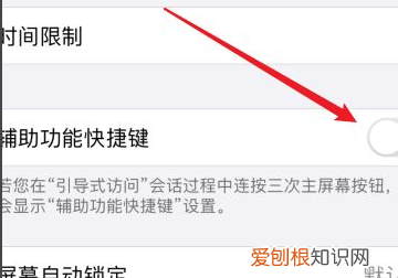 苹果如何取消底部横条，苹果手机去除底部的水平横条?