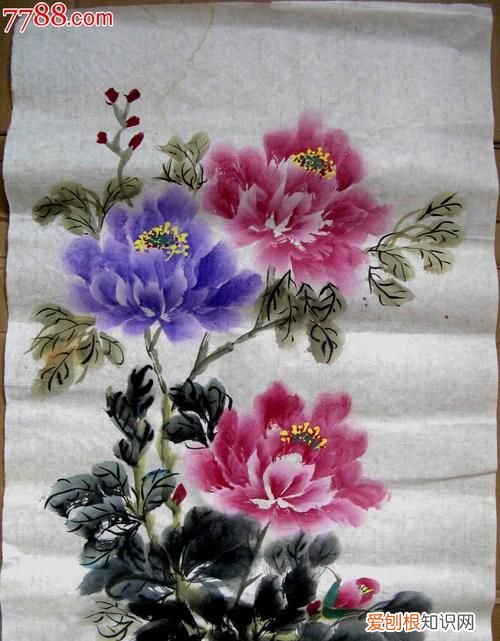 中国画牡丹用什么纸，画牡丹花用什么宣纸