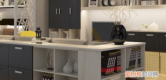 leisure是什么牌子,arialens哪国的牌子