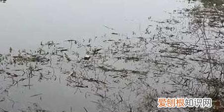 冬天钓鱼如何选位,冬季钓鱼怎么选择钓位钓饵