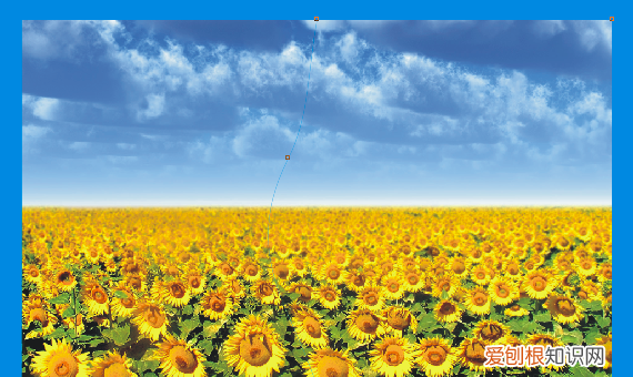 cdr画面怎么样移动，cdr如何移动某一图形