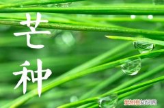 2023年农历四月十九芒种出生的女孩命运解析