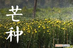 芒种是个吉利日子吗 芒种是适合搬家的节气吗