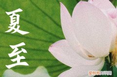 夏至为什么吃茶叶蛋 夏至吃蛋的好处