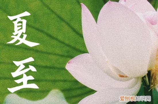 夏至为什么吃茶叶蛋 夏至吃蛋的好处