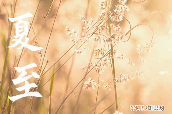 夏至为什么不能熬夜 夏至为什么要称体重