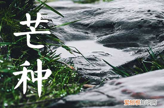 2023年芒种农历是哪一天 芒种有什么习俗