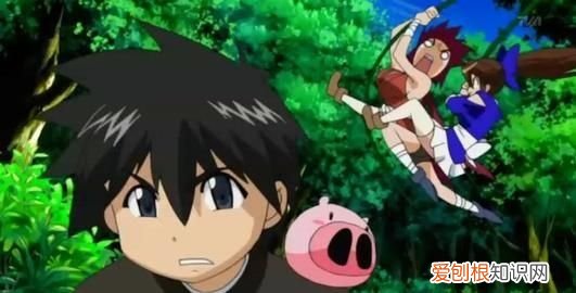 给大家推荐超好看的5部后宫动漫