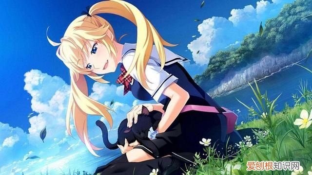 给大家推荐超好看的5部后宫动漫