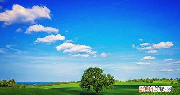 什么是人类的家，人类的天敌是什么