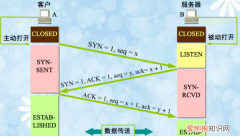 TCP协议的主要功能，TCP 协议的主要功能是