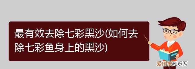 最有效去除七彩黑沙，如何去掉七彩燕鱼的黑沙