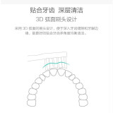 东耐伦电动牙刷头与小米原装哪个更好用