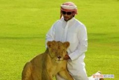 迪拜有多少王子，迪拜这么有钱为什么美国不打他