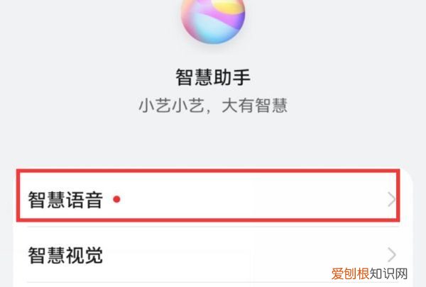 华为手机唤醒设置方法，华为手机叫什么名字可以唤醒怎么操作