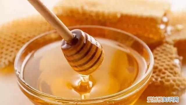 蜂蜜阿胶茶的功效作用禁忌 阿胶蜂蜜茶养血生津