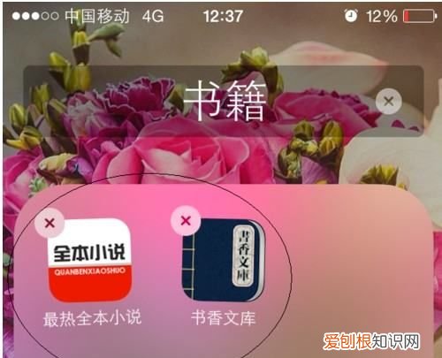 苹果手机怎么把app归类