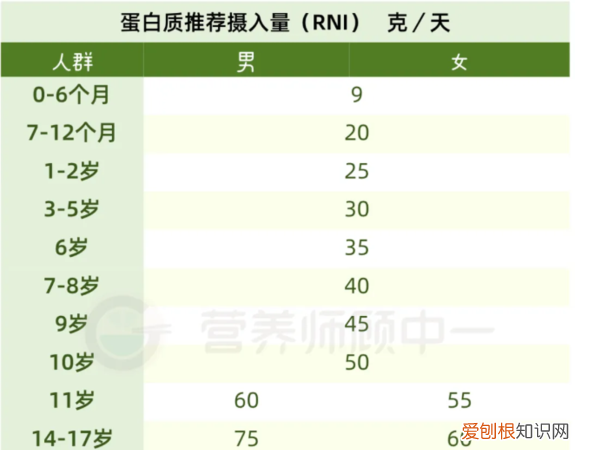 蛋白质占人体含量的多少，人身体的蛋白率应该是多少啊