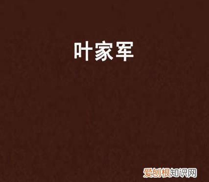 叶总的六胞胎小说叫什么名字