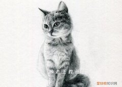 原来画一只猫咪这么简单的画法,画一只猫咪简单又漂亮