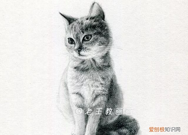 原来画一只猫咪这么简单的画法,画一只猫咪简单又漂亮