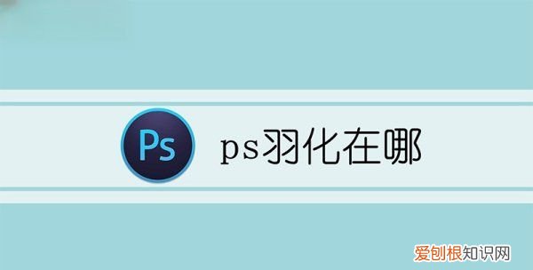 ps羽化工具在哪，ps羽化效果怎么弄