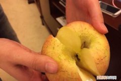 掰苹果的技巧的原理，盆栽苹果疏果的正确方法