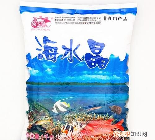 1斤水放多少海盐做海水，40斤水放多少盐和海水一样盐度