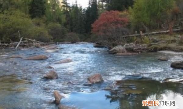 自然界还有哪些美妙的声音，大自然还有哪些美妙的声音写一写