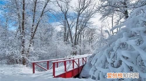 大雪时节养生注意什么,大雪节气养生保健知识