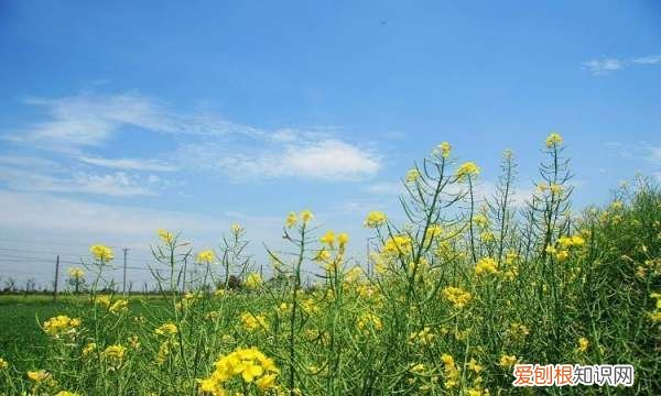 华为淘宝相册权限在哪，淘宝的相册权限是在哪里设置的华为p40