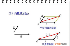 单位正交列向量是什么意思，为什么正交矩阵的行向量是单位向量