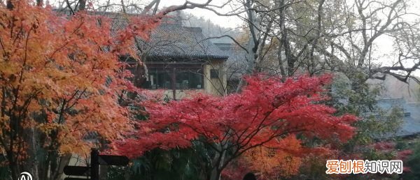 手机照片怎么传到电脑，怎么把手机里的照片传到电脑里去呢