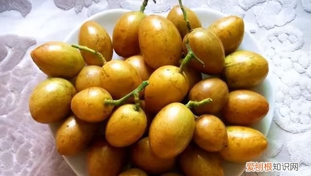 为什么夏天建议多吃黄皮,长期吃黄皮有什么好处和坏处