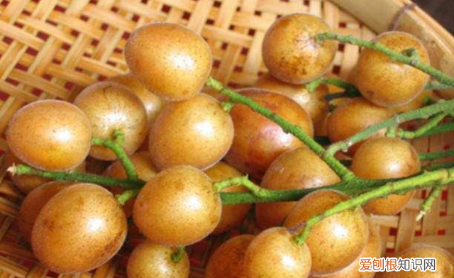 为什么夏天建议多吃黄皮,长期吃黄皮有什么好处和坏处