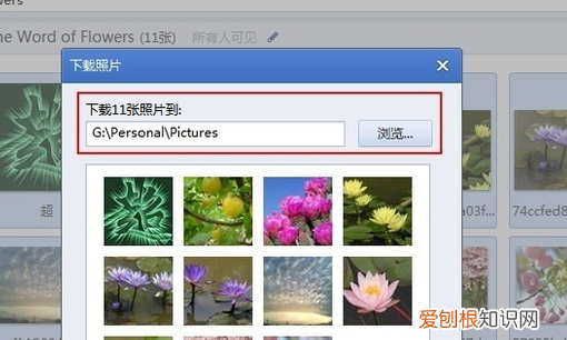 qq空间里的照片怎么保存到电脑里