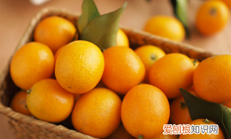 哪些人不能吃金桔哪些体质的人不能吃金桔